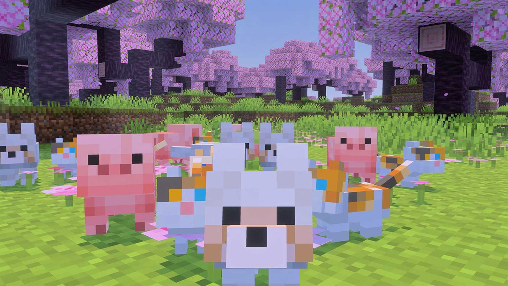 Avó de 81 anos vira sensação no YouTube jogando Minecraft para custear tratamento do neto - Imagem do artigo original